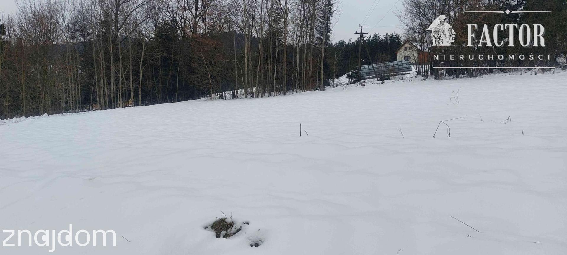 Biała Niżna działka budowlano-rolna 0,6 ha 1159S - zdjęcie 3