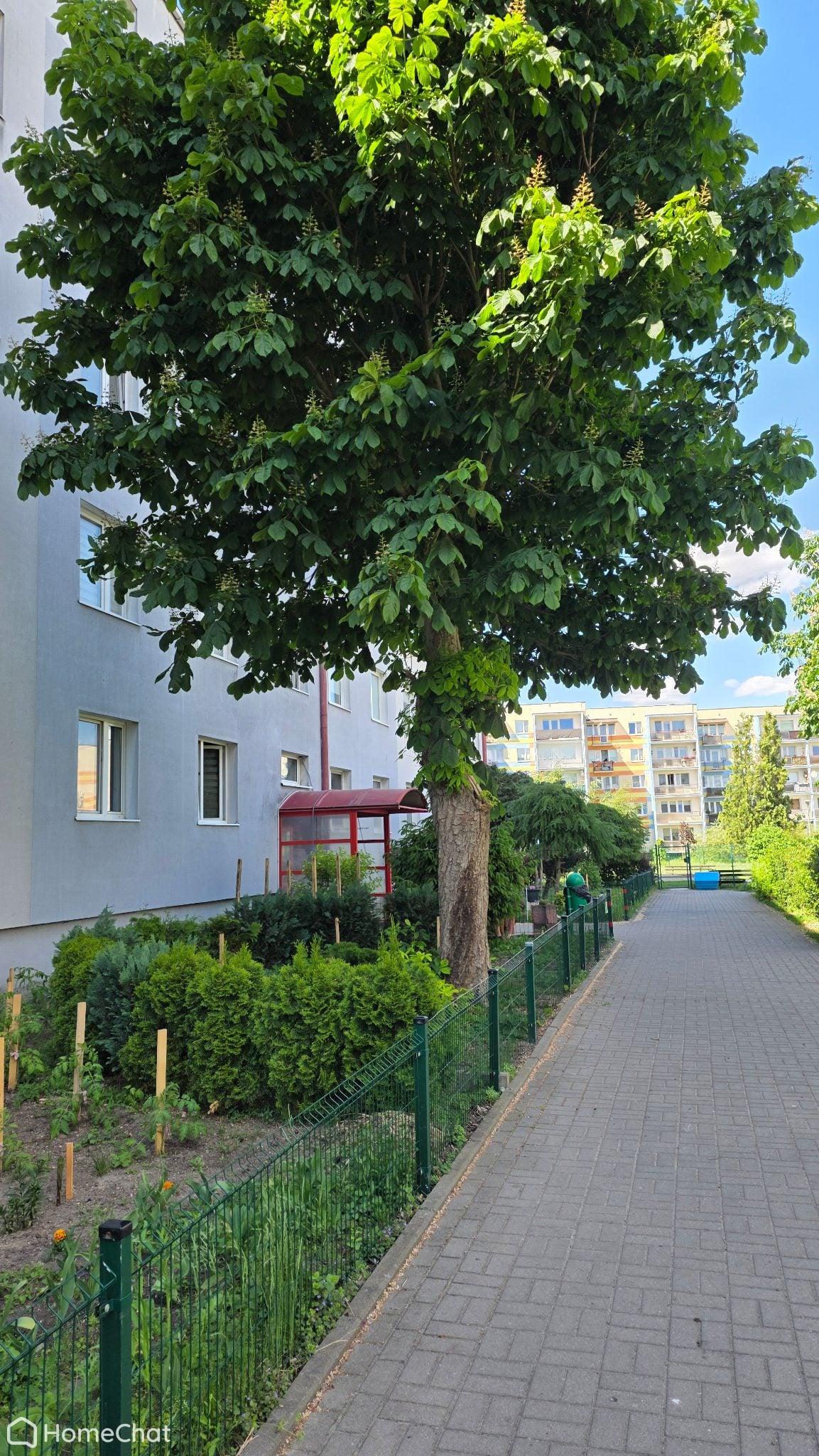 Mieszkanie, Kapuściska 48m2