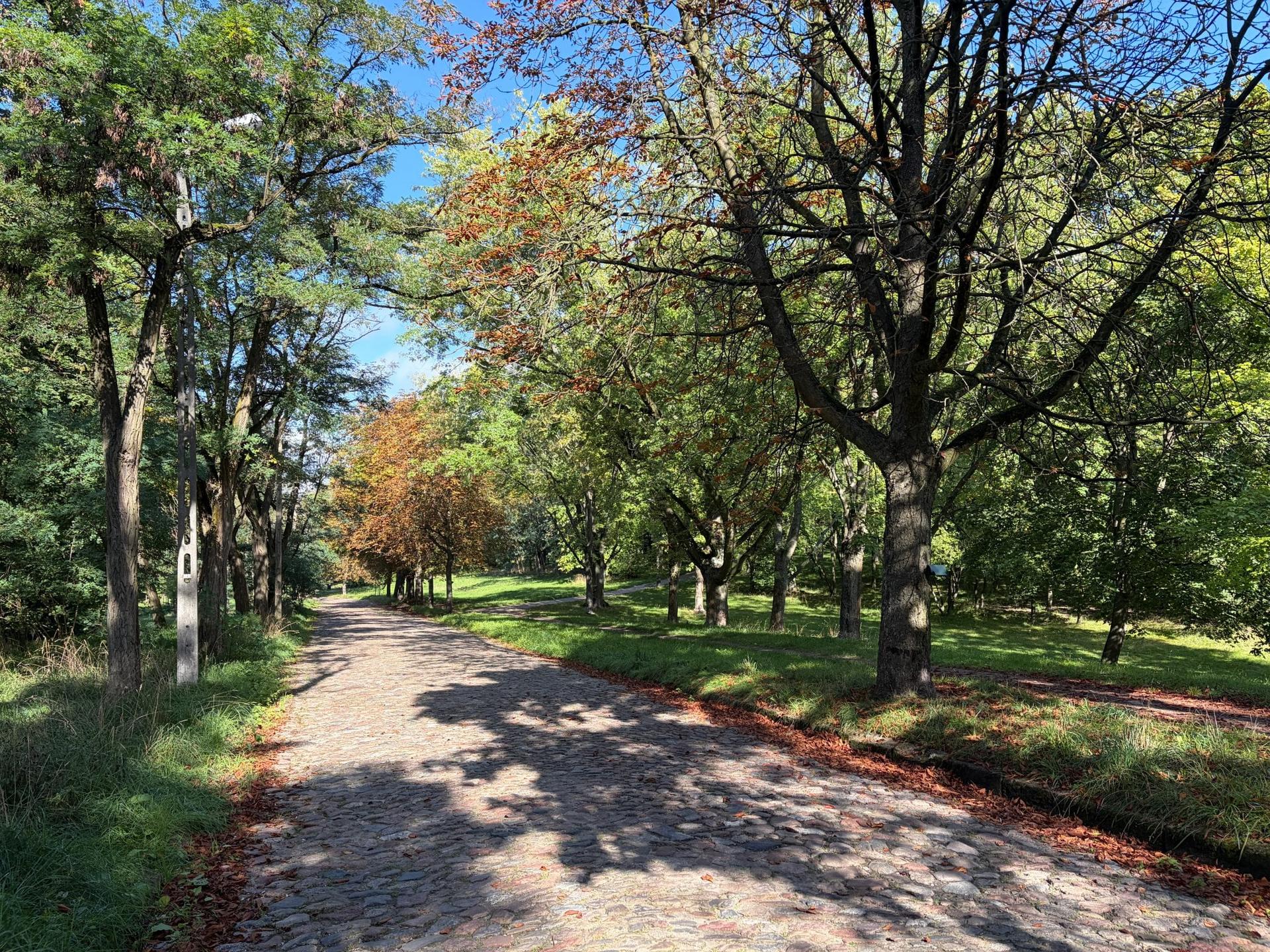 Park Zaruskiego na Stokach. Łódź.