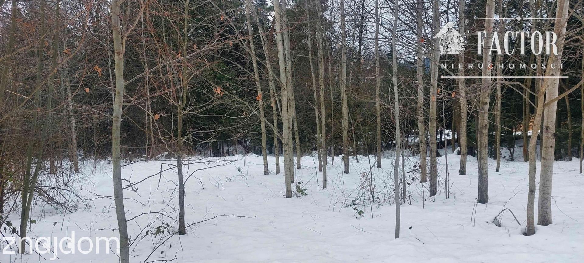 Biała Niżna działka budowlano-rolna 24 a 1161S