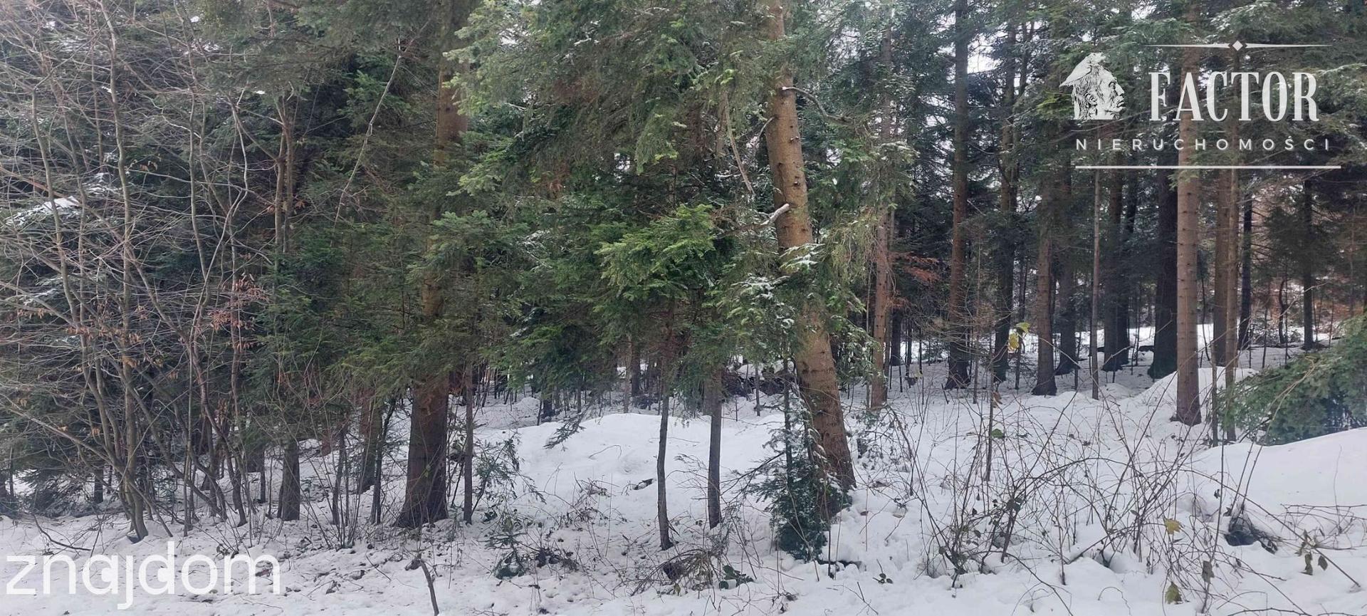 Biała Niżna działka budowlano-rolna 34 a 1160S