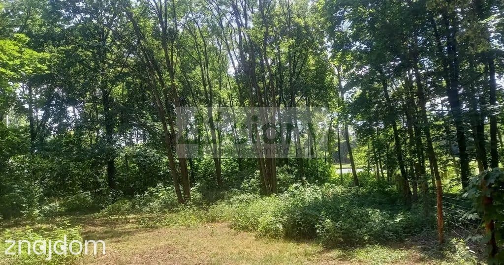 Działka, PODKOWA LEŚNA