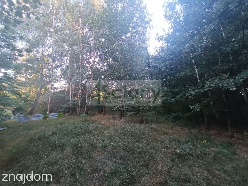 piękna działka, świetna cena! - zdjęcie 9