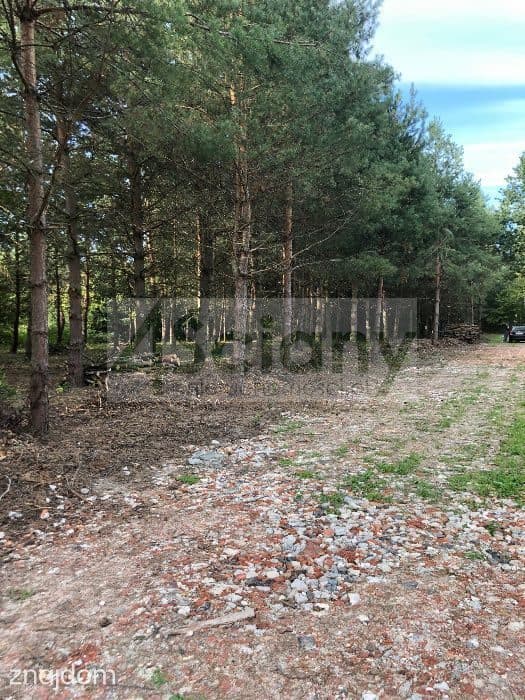 Działka, MIESZKOWO