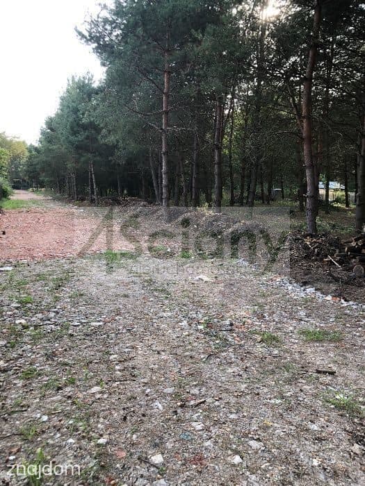 Działka, MIESZKOWO - zdjęcie 2