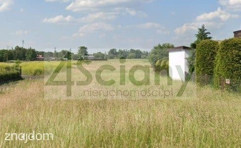 Działka, DĘBE WIELKIE