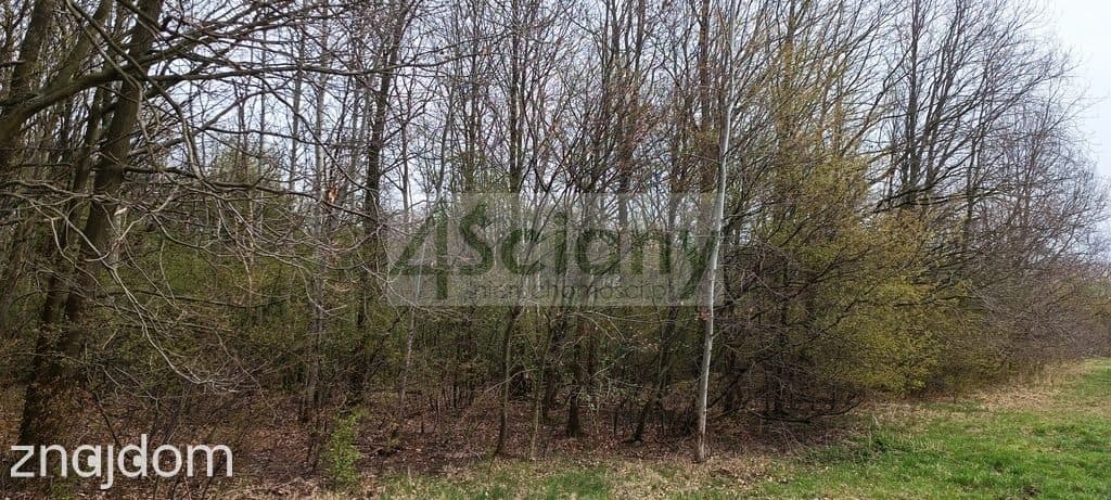 Działka, MILANÓWEK - zdjęcie 2