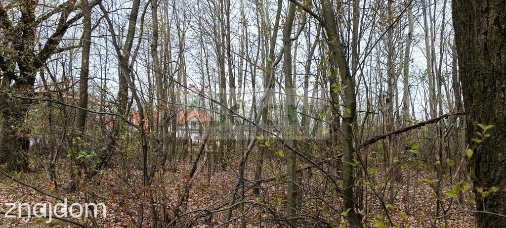 Działka, MILANÓWEK - zdjęcie 3