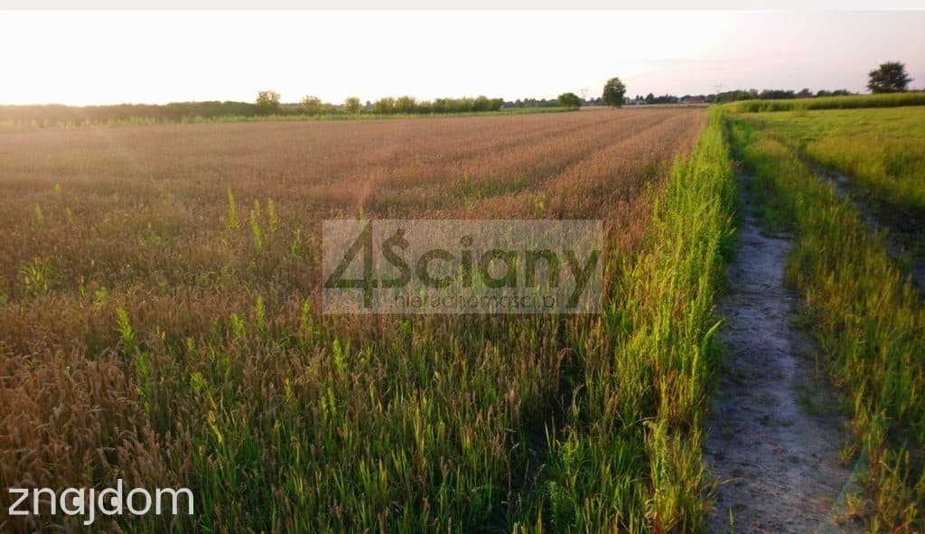 Działka, BŁONIE
