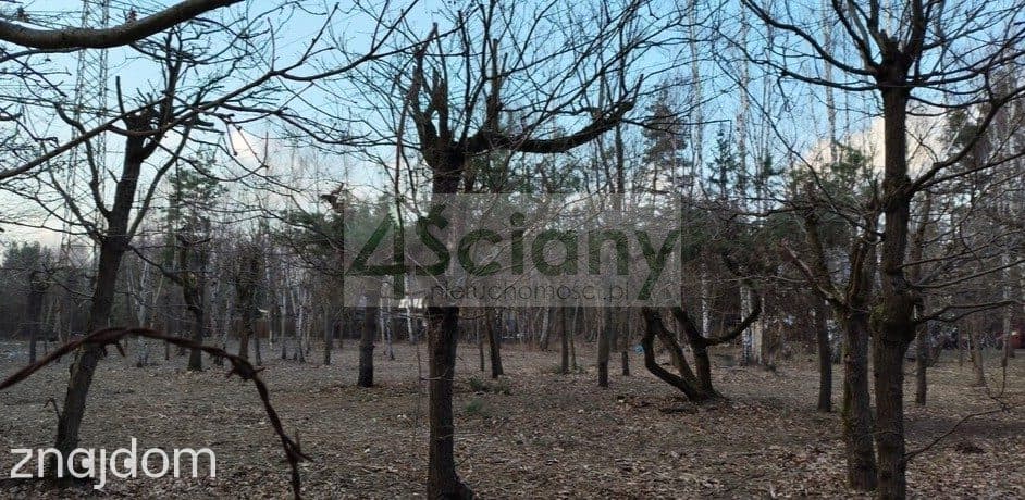 Działka na granicy Złotokłosu i Henrykowa - zdjęcie 9