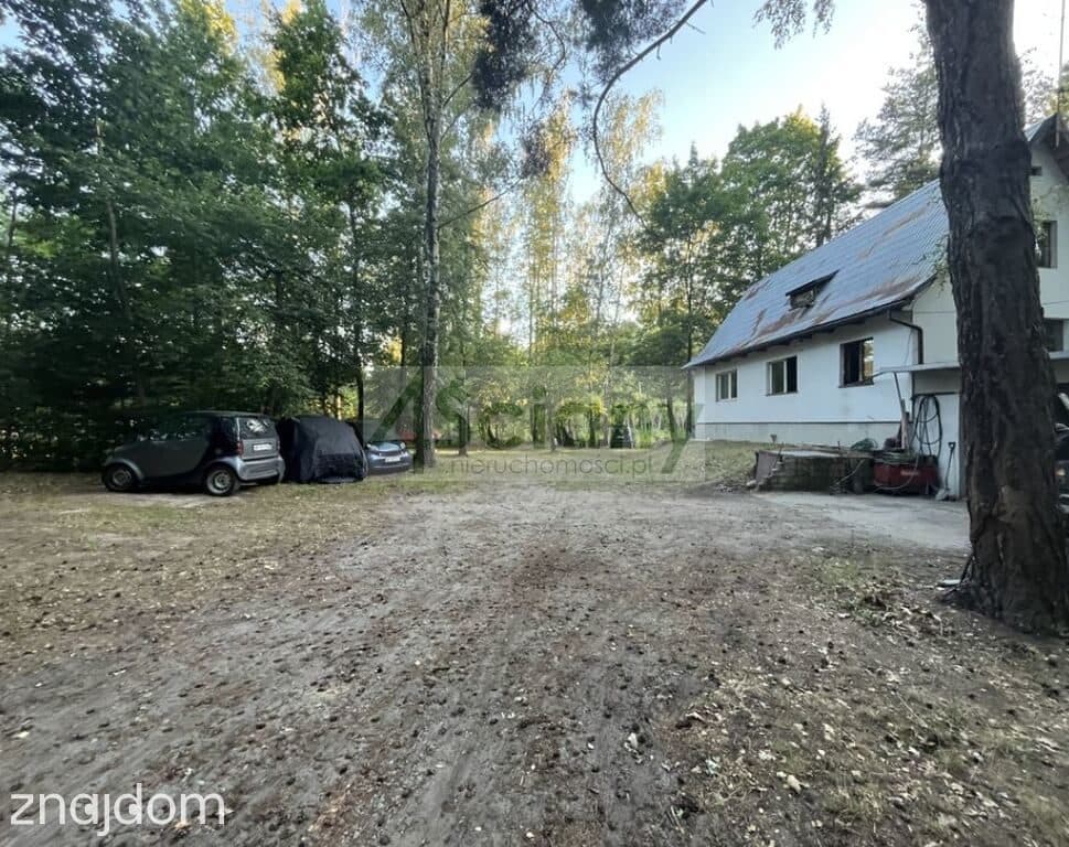 Działka na granicy Złotokłosu i Henrykowa - zdjęcie 5