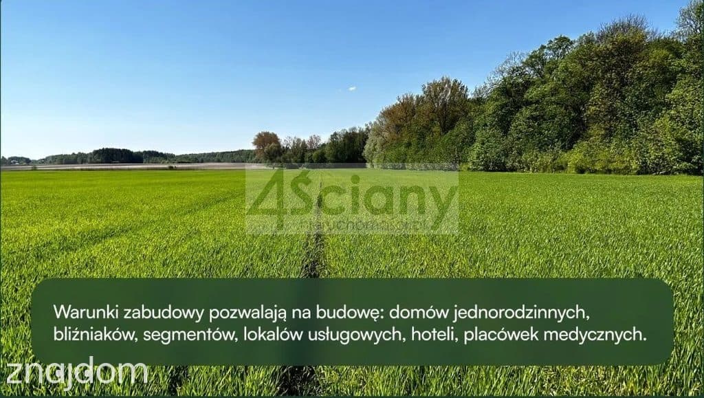 Działka, MŁOCHÓW
