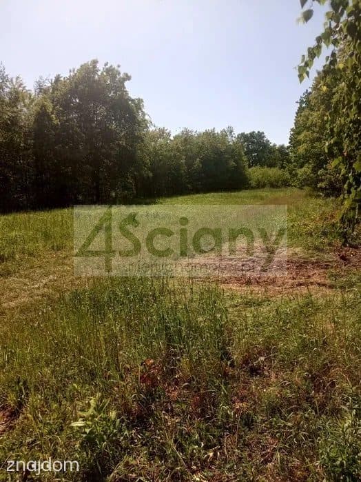 Działka, CHRZANÓW MAŁY - zdjęcie 2