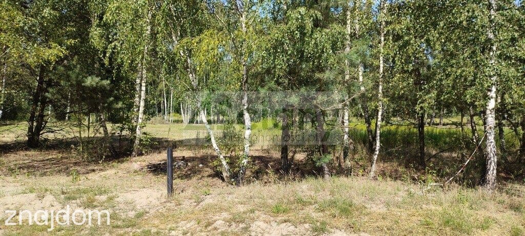 Błonie gmina Prażmów - działka pod lasem