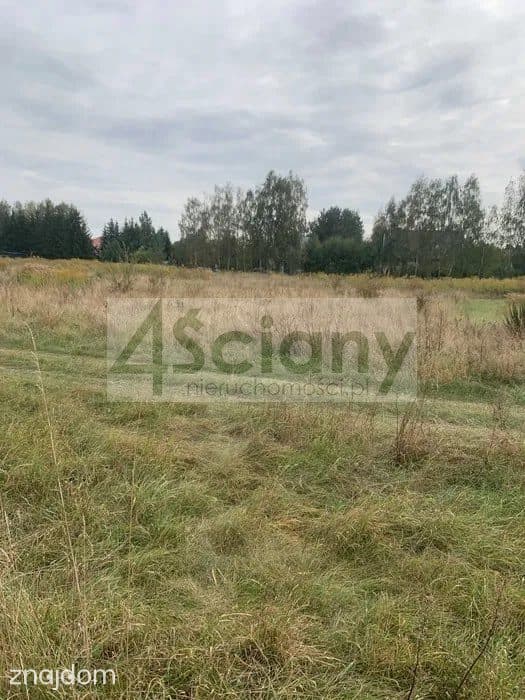 Działka, KOZERY