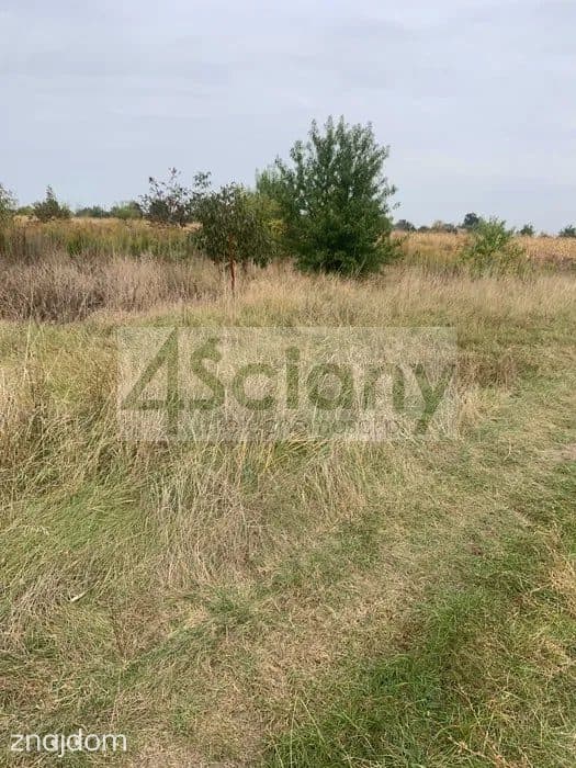 Działka, KOZERY - zdjęcie 4