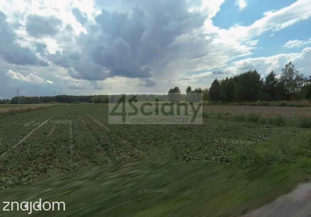 Działka, SOKOŁÓW