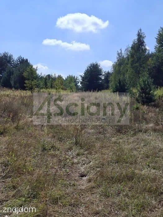 Działka, REGUT - zdjęcie 3