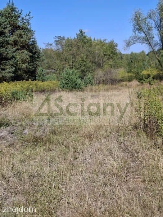 Działka, REGUT - zdjęcie 4