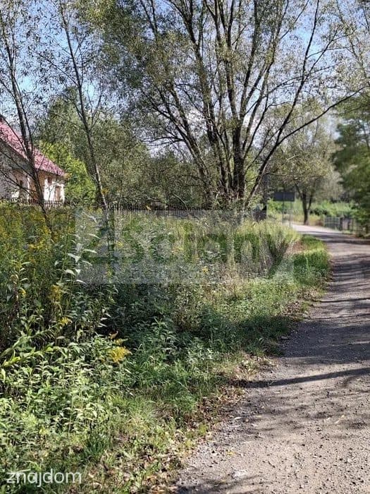 Działka, REGUT - zdjęcie 2