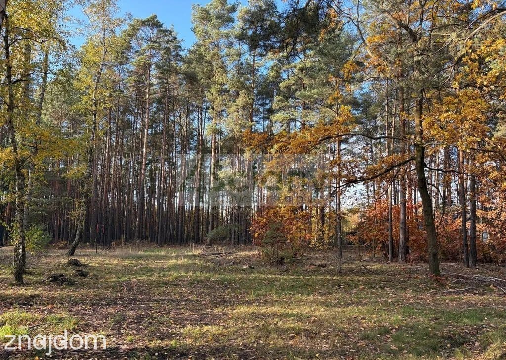 Działka, MARYNIN - zdjęcie 3