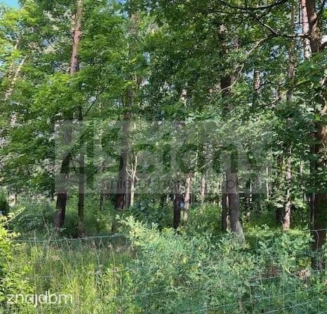 Działka, MAGDALENKA - zdjęcie 2