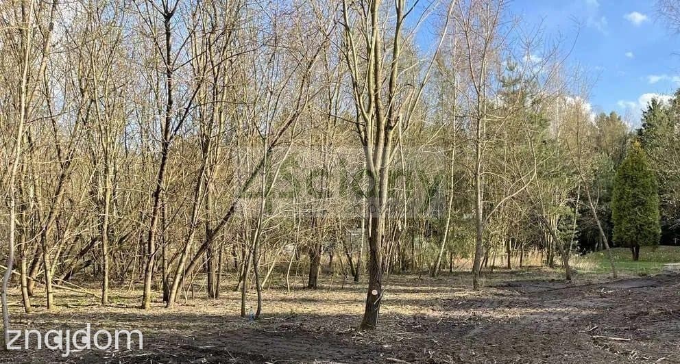 Działka, MAGDALENKA - zdjęcie 2