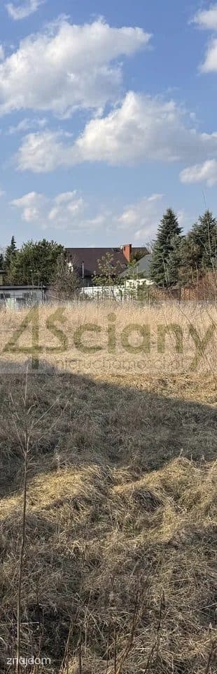 Działka, BIENIEWICE