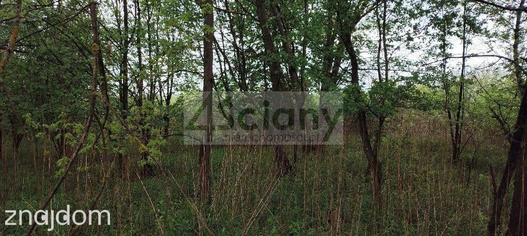 Działka, STANISŁAWÓW DRUGI