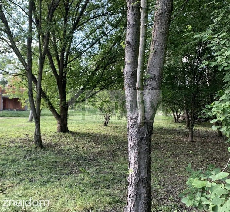 DZIAŁKA BUDOWLANA 1094 m² | KANIE - zdjęcie 5