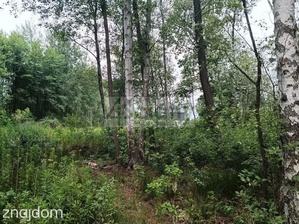 Przepiękna działka z WZ koło Puszczy Słupeckiej - zdjęcie 9