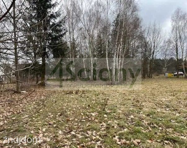 Działka, RUSIEC - zdjęcie 4