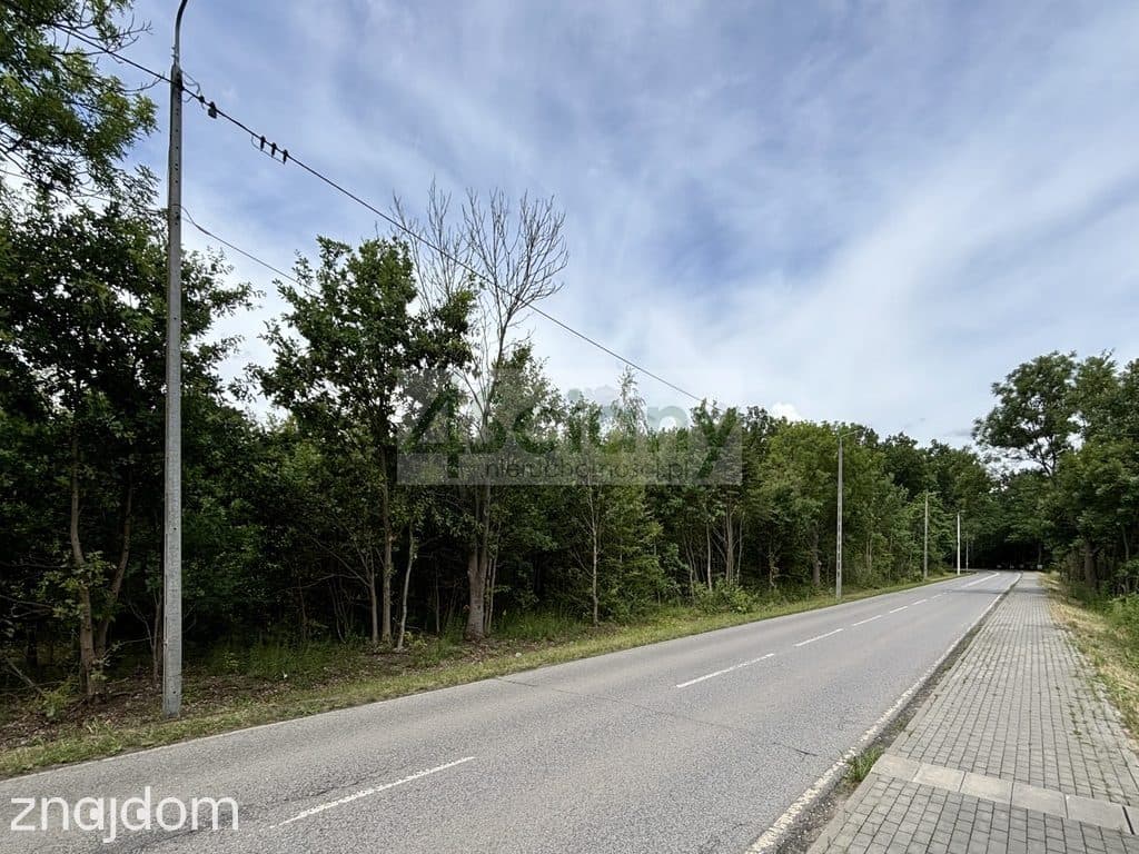 Działki inwestycyjne w Runowie o pow. 3,7271 ha - zdjęcie 3
