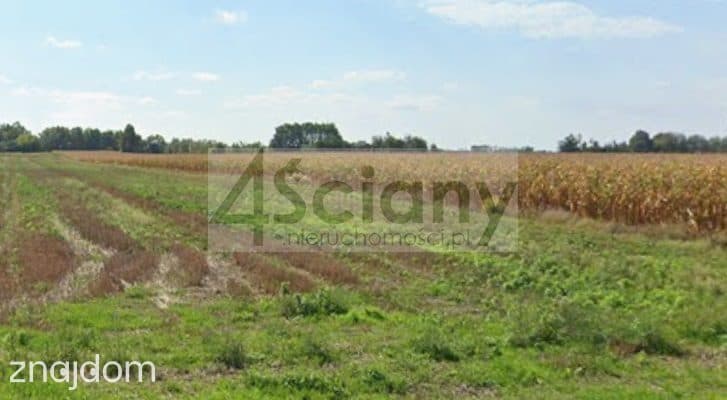 Działka, NOWE FASZCZYCE