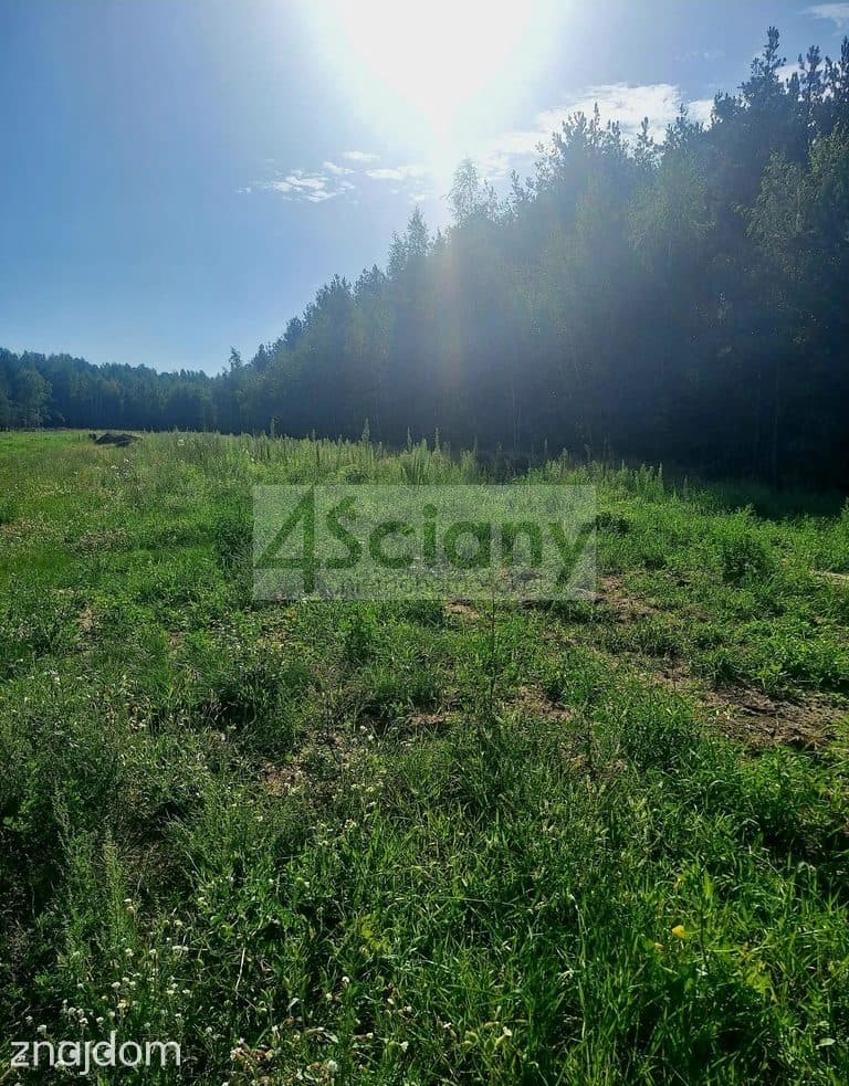 Działka, ADAMOWIZNA - zdjęcie 2