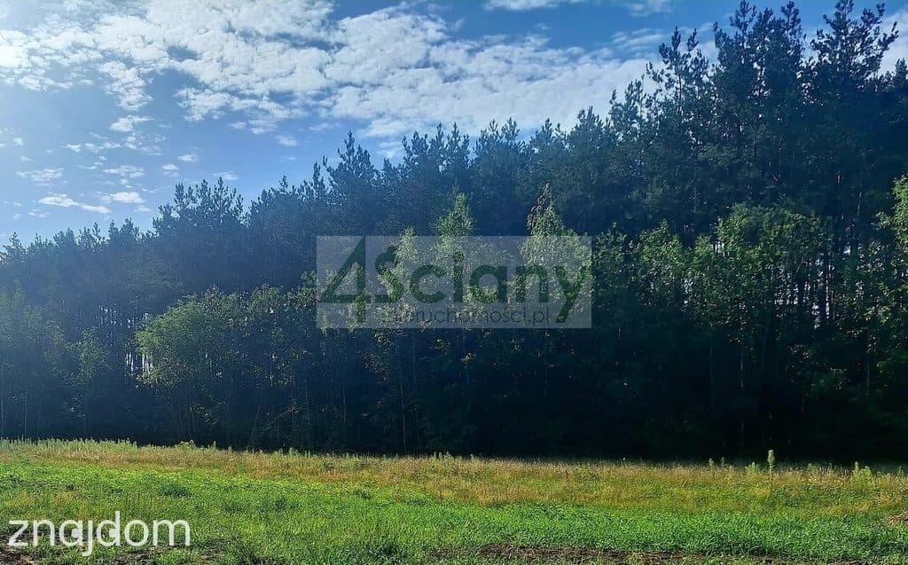 Działka, ADAMOWIZNA