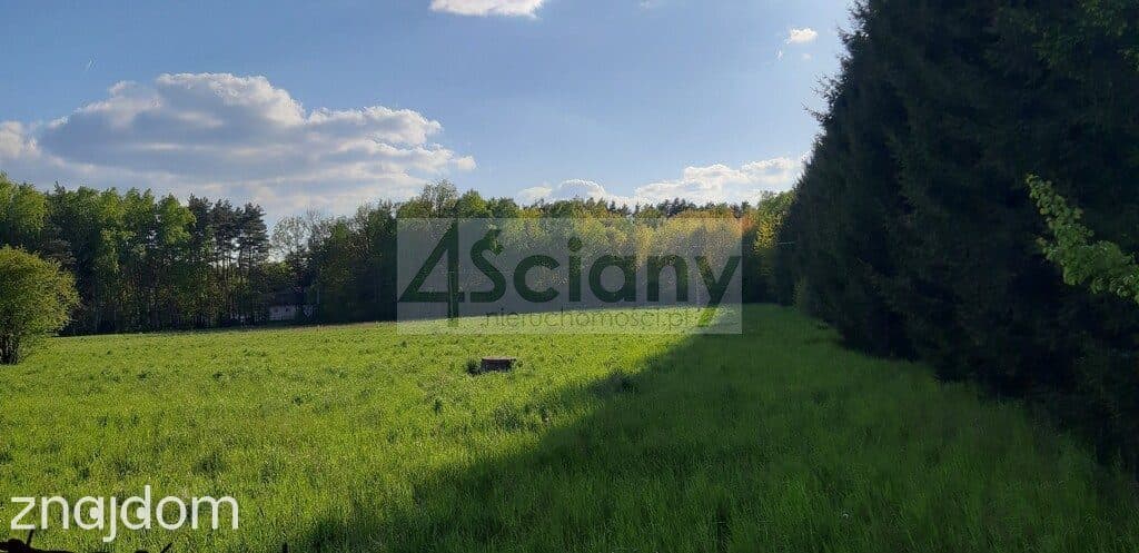 Postaw bliźniaka na dużej działce w Ruścu