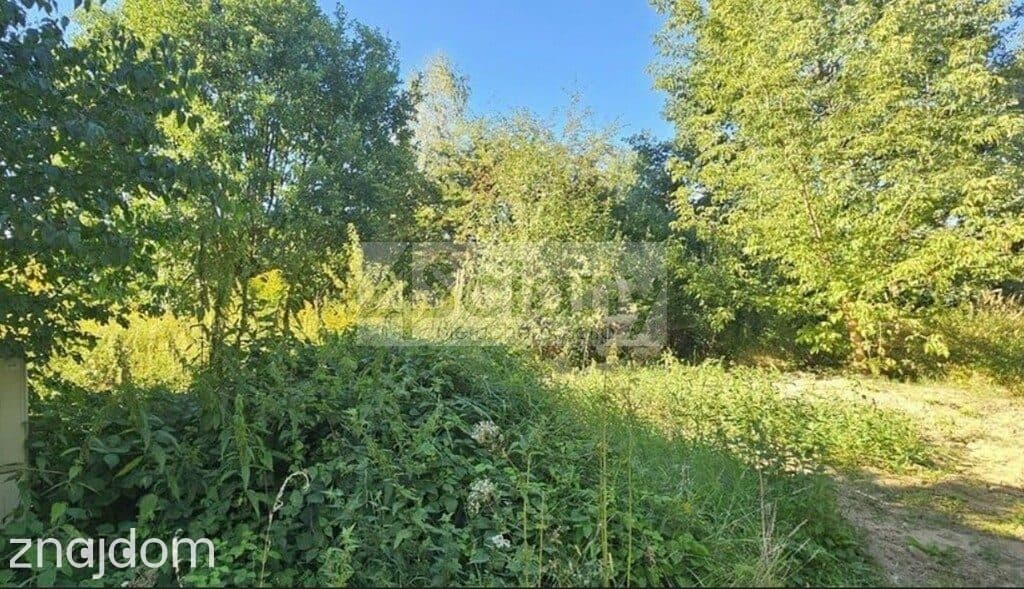 Działka, RUSIEC
