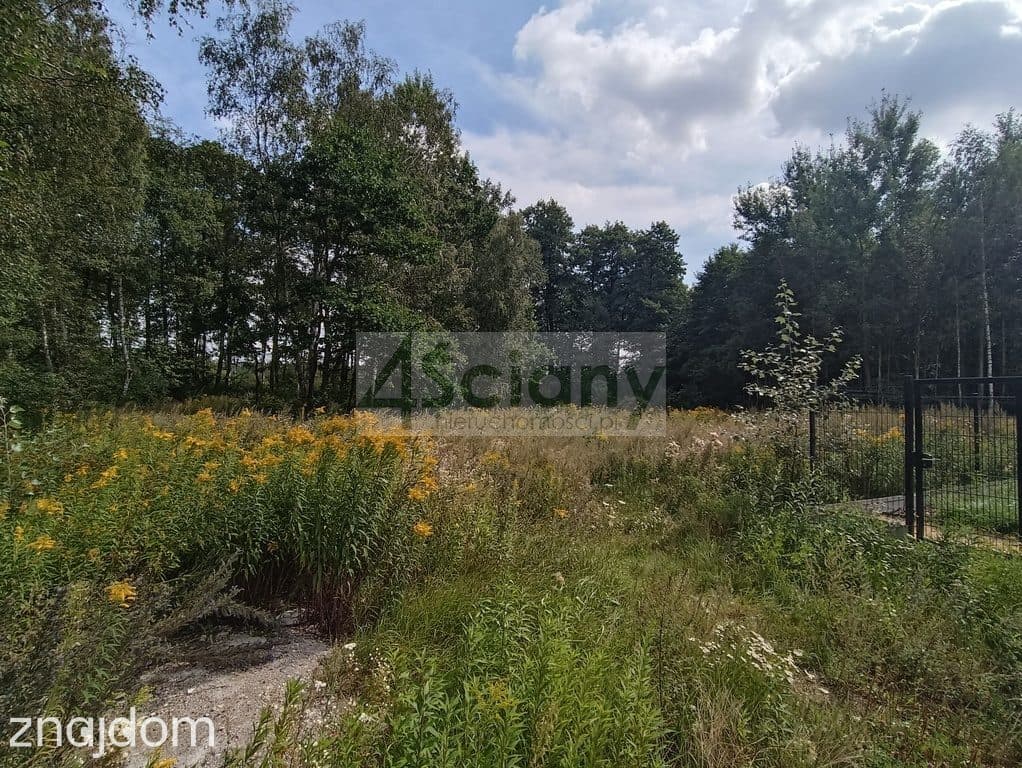 Przepiękna działka z WZ koło Puszczy Słupeckiej