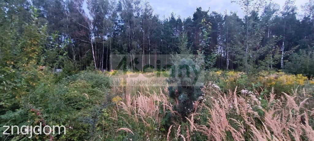 Działka, OSOWIEC - zdjęcie 2