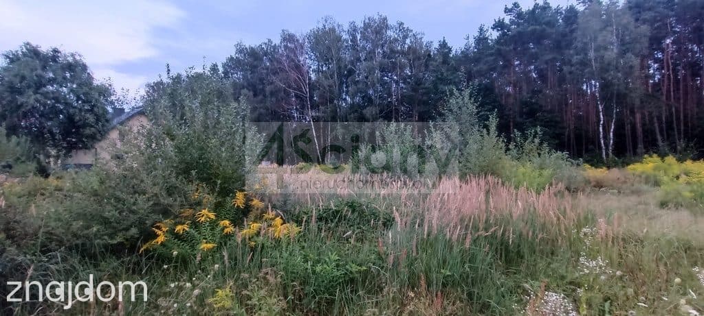 Działka, OSOWIEC - zdjęcie 4