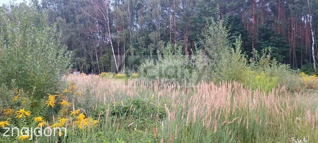 Działka, OSOWIEC - zdjęcie 3