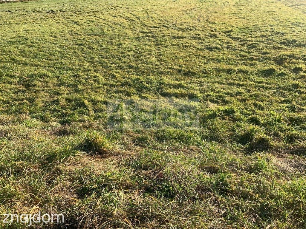 Działka budowlana 1604 m² – Duchnów - zdjęcie 2