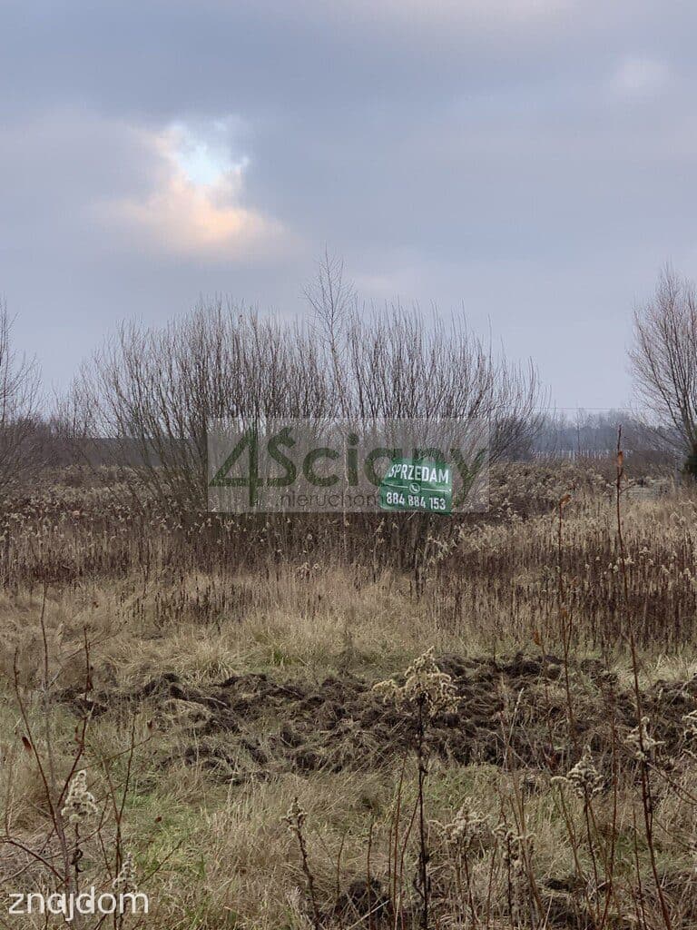 Działka z wydanymi warunkami zabudowy. - zdjęcie 2