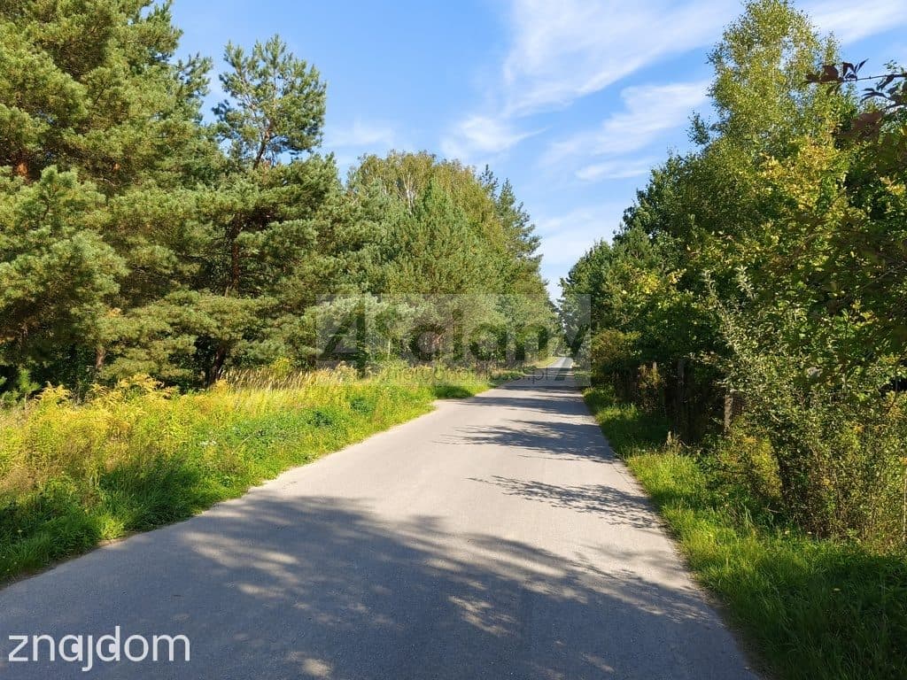 Działka, ZARĘBY - zdjęcie 3
