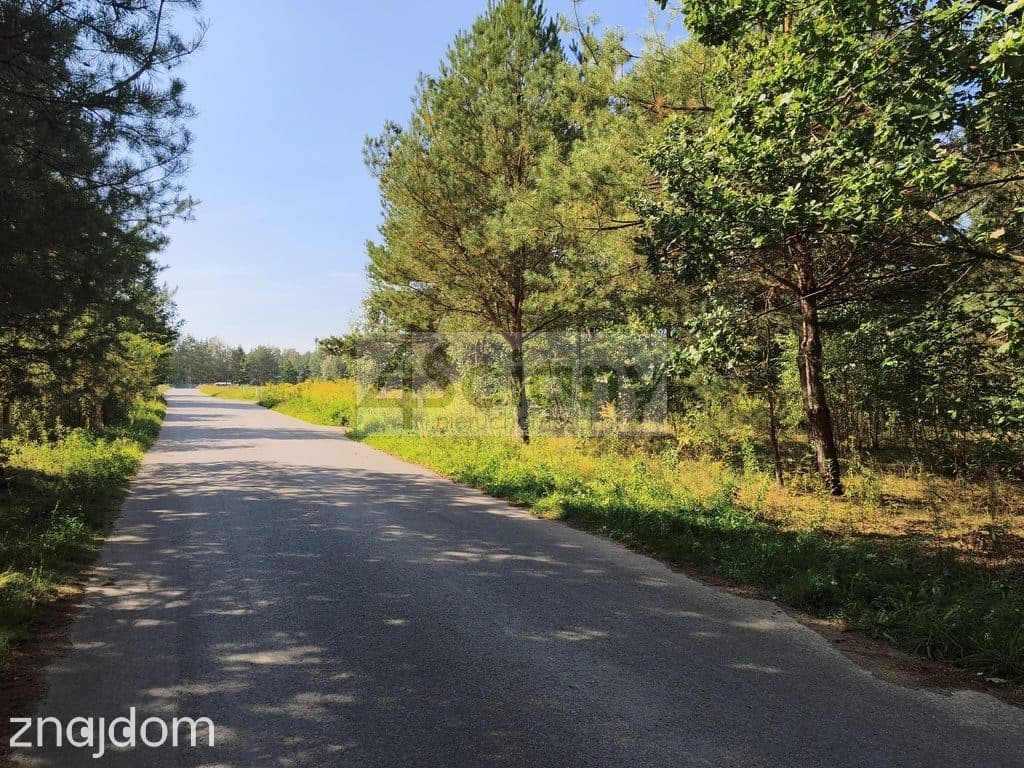 Działka, ZARĘBY - zdjęcie 5