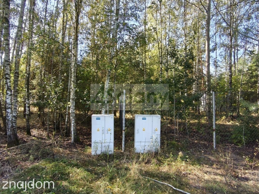 Działka, ZARĘBY - zdjęcie 6