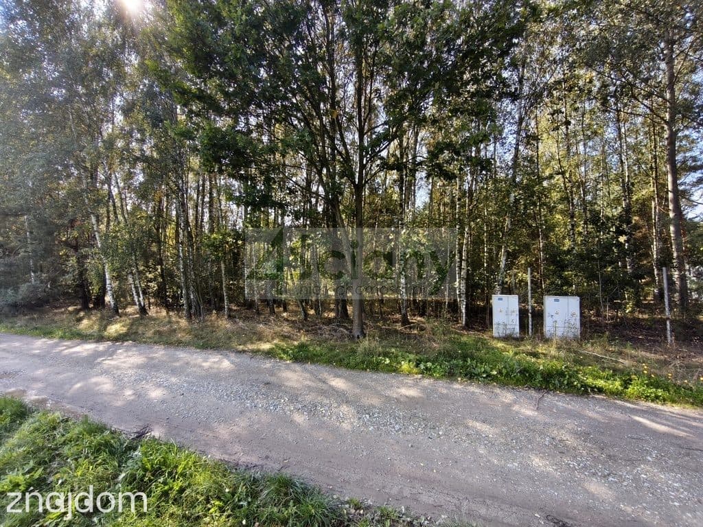 Działka, ZARĘBY - zdjęcie 7