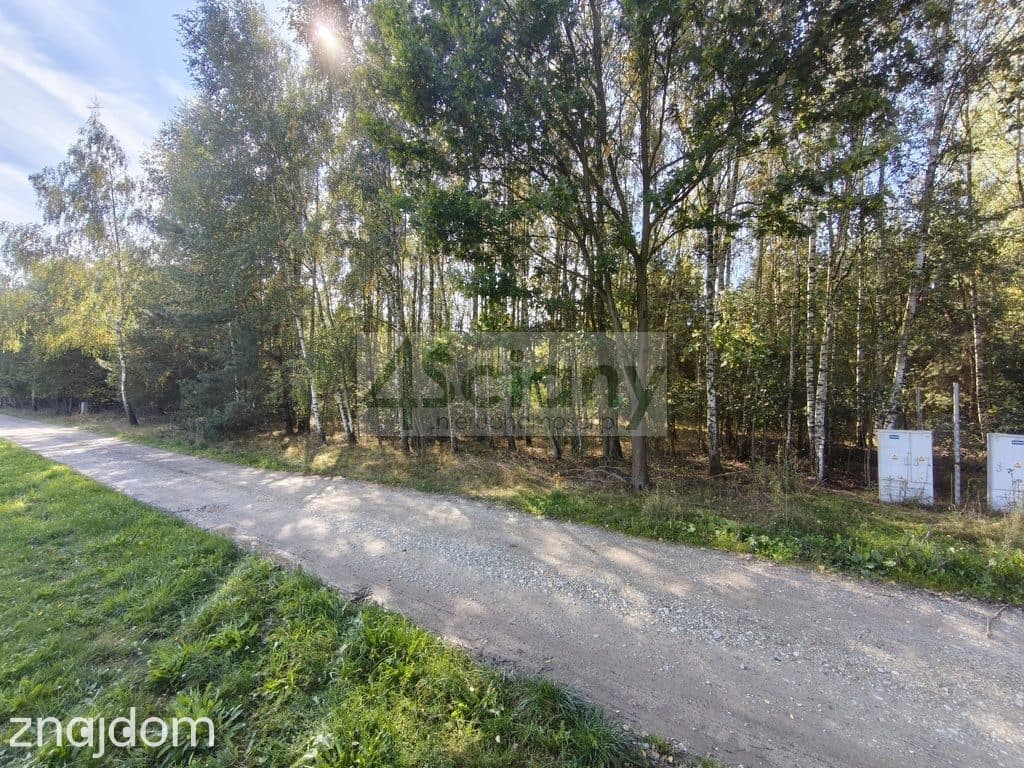 Działka, ZARĘBY - zdjęcie 8
