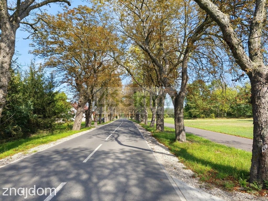 Działka, ZARĘBY